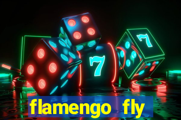 flamengo fly emirates ultimas noticias